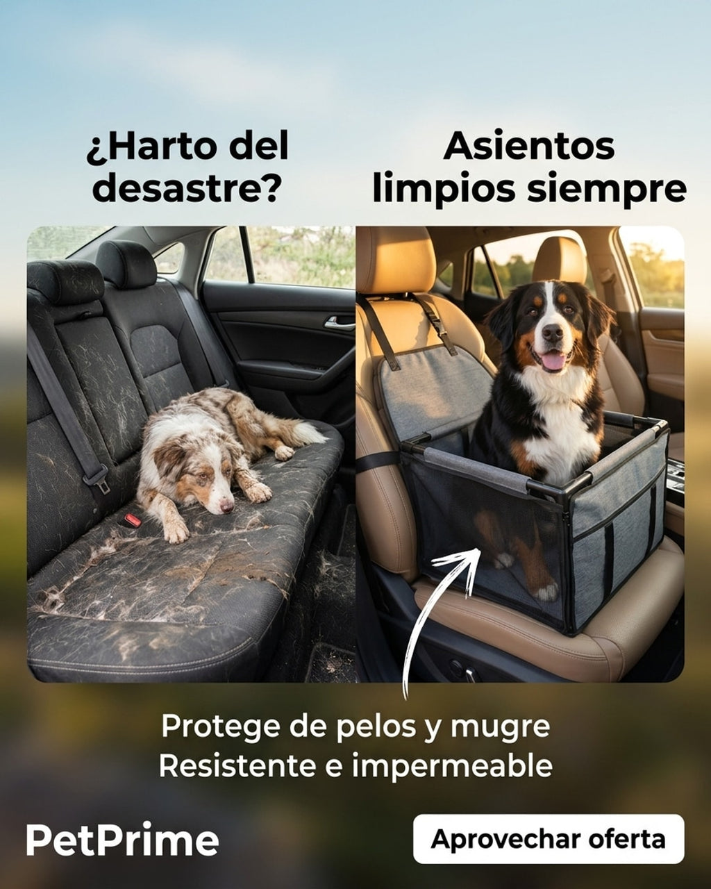 SILLA DE CARRO PARA MASCOTA