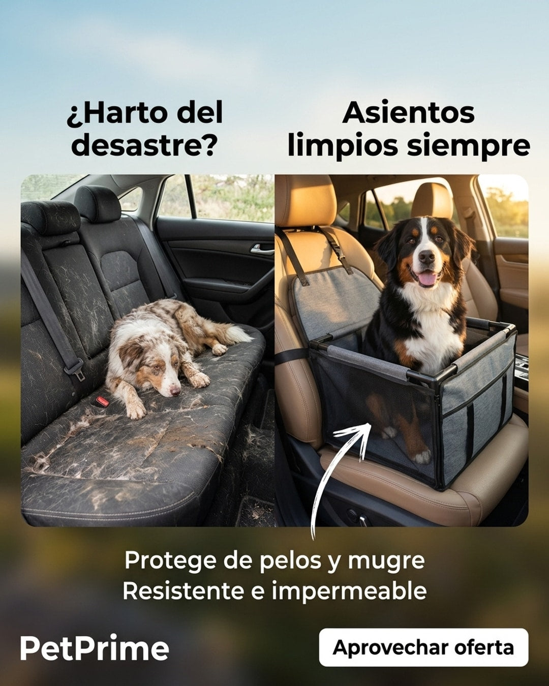SILLA DE CARRO PARA MASCOTA